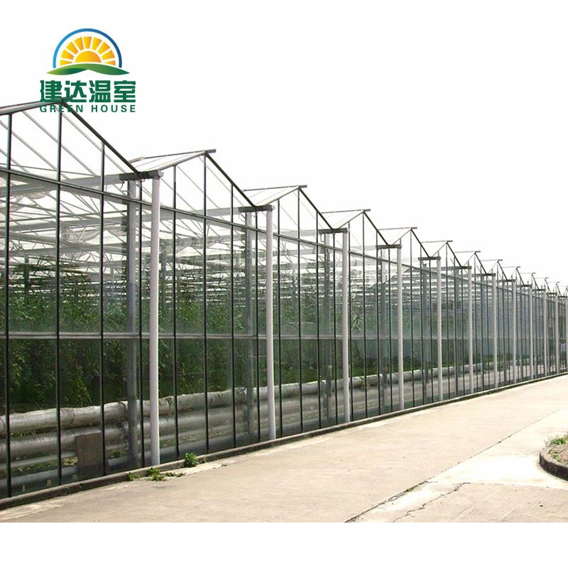 glass greenhouse
