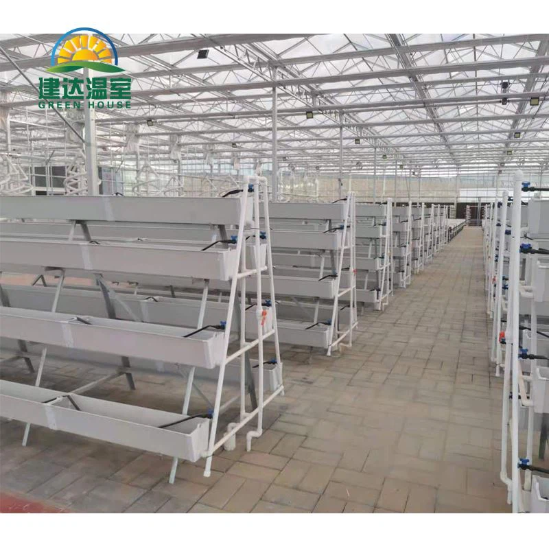 hydroponic planting
