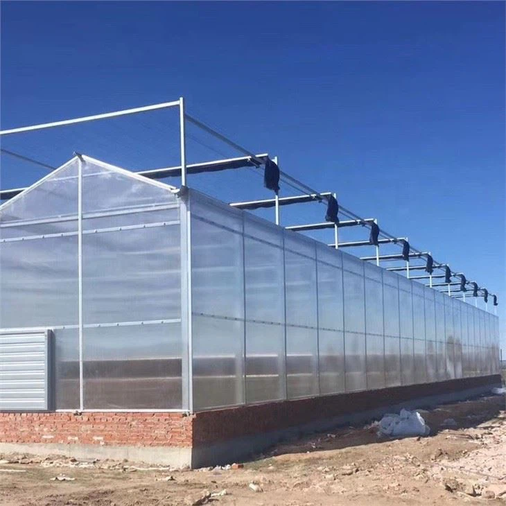 China Venlo Polycarbonate Greenhouse With Irrigation System