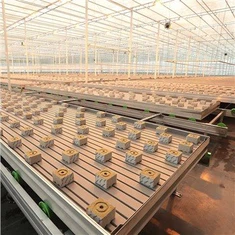 Теплиця Rockwool