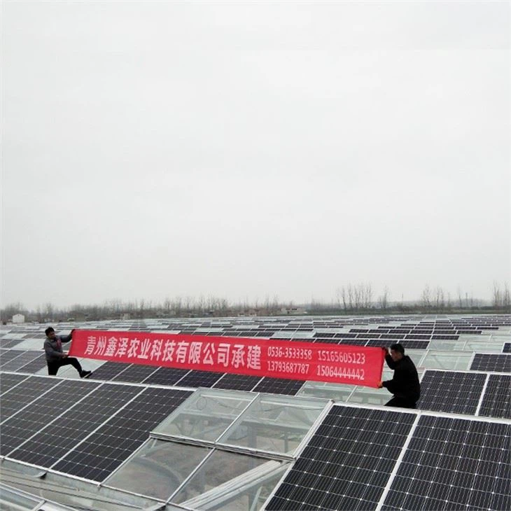 Solar Panel Greenhouse
