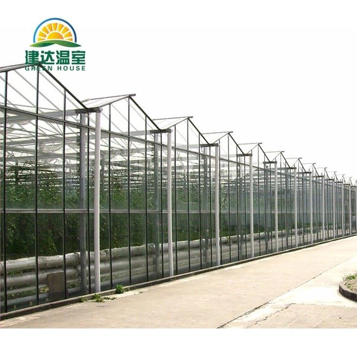 Tempered Glass Greenhouse