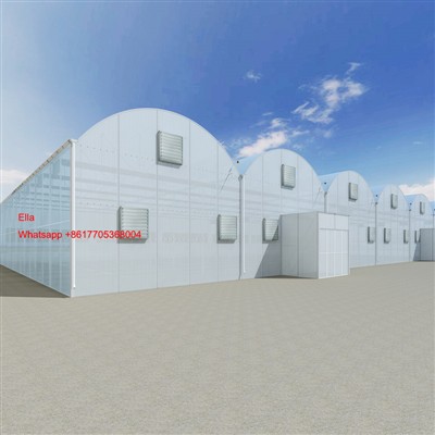 7000 квадратних метрів нашої сонячної панелі оранжень