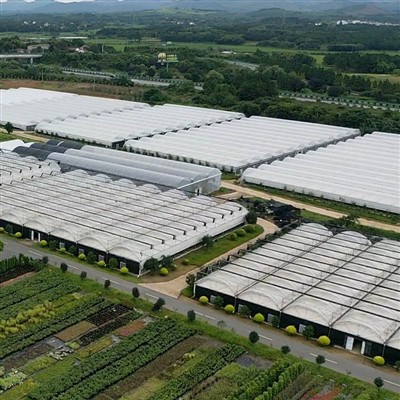 Jianda Multi - Span Film Pigrouse