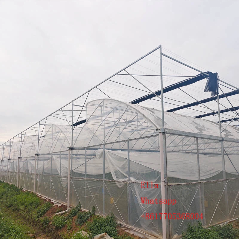 gothic greenhouse gothic greenhouse